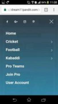 Dream11 Pandit游戲截圖3