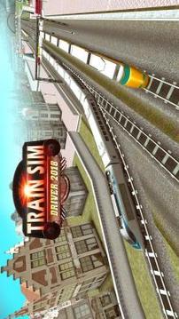 Train Sim Driver 2018 2 Player游戲截圖1