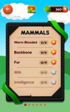 Word Connect 2 : Zoo Animal游戲截圖5