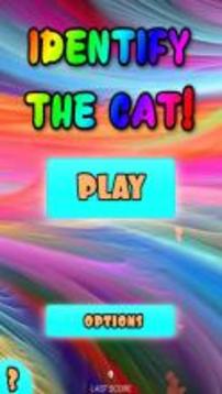 Cat Breeds - Identify Your Cat游戲截圖1