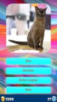 Cat Breeds - Identify Your Cat游戲截圖2