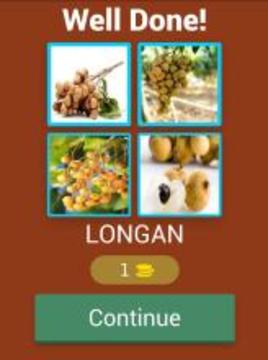 What Is That Fruit?游戲截圖5