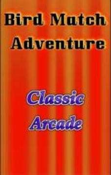 Bird Match Adventure游戲截圖2