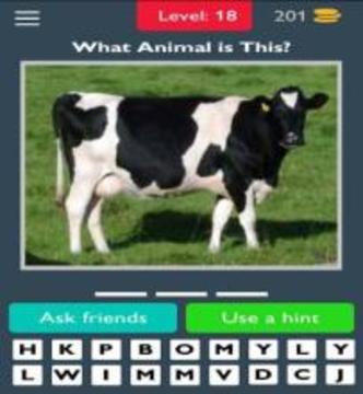 Best Animals Quiz游戲截圖5