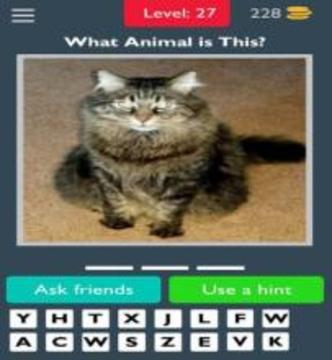 Best Animals Quiz游戲截圖3