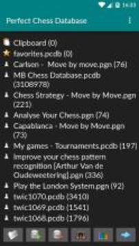 Perfect Chess Database Demo游戏截图1