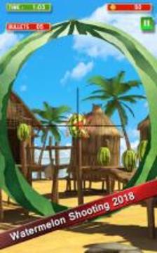 Watermelon Shooting 2017游戲截圖3
