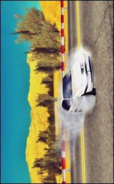 Passat Driving & Drift Simulator游戲截圖5