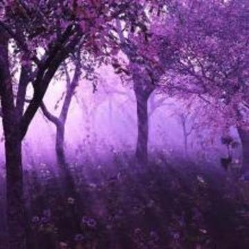 神秘的拼圖游戲截圖4