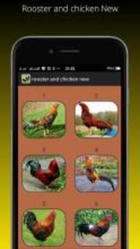 Rooster and chicken New游戲截圖1