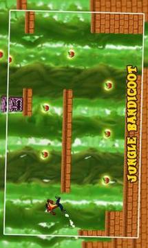 Bandicoot Adventure Jungle World游戲截圖2