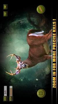 Animal Sniper Shooting Game - Jungle Hunter 2018游戲截圖1