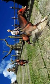 Jungle Horse Run游戲截圖2