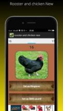 Rooster and chicken New游戲截圖3