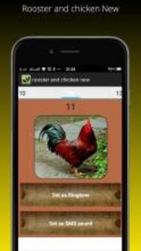 Rooster and chicken New游戲截圖4