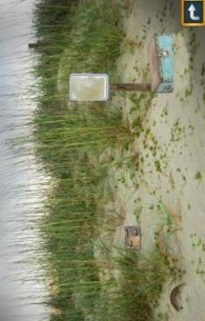 Escape Puzzle: Abandoned Beach游戲截圖3