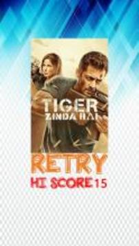 Tiger Zinda Hai游戲截圖3