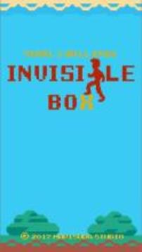 INVISIBLE BOX CHALLENGE游戲截圖1