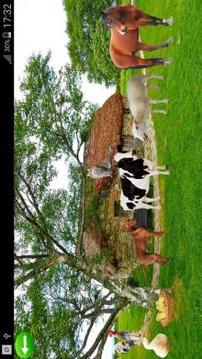 Farm Animals and Voices游戲截圖2