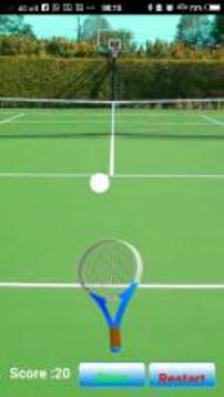 TG Tennis游戲截圖2