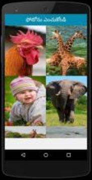 Telugu Photo Puzzle : ?????? ???? ?????游戲截圖3