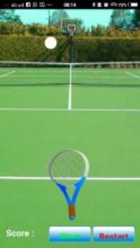 TG Tennis游戲截圖1