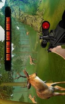 Deer Hunt Sniper Shooting Safari Animals Hunter游戲截圖4