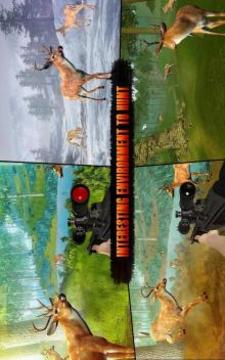 Deer Hunt Sniper Shooting Safari Animals Hunter游戲截圖1