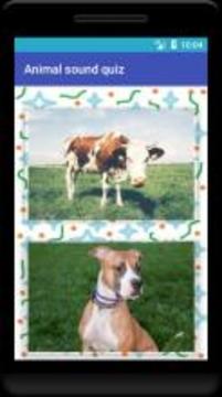 Animal sound quiz游戲截圖2