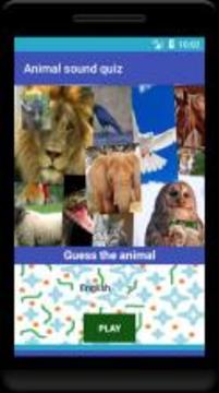 Animal sound quiz游戲截圖1
