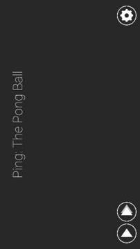 Ping: The Pong Ball游戲截圖1