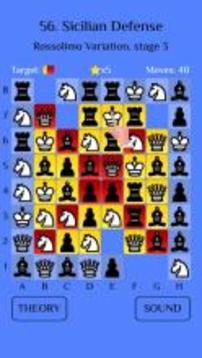 Chess Match: Sicilian defense游戲截圖1
