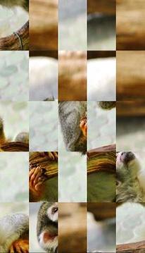 Tile Puzzles · Monkeys游戲截圖2