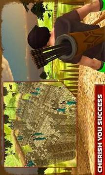Ninja Master 3D游戲截圖4