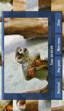 Tile Puzzles · Monkeys游戲截圖3