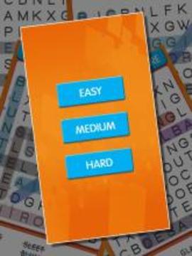 English Word Search游戲截圖5