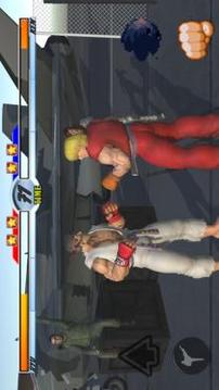 Street Fighter 3D游戲截圖5