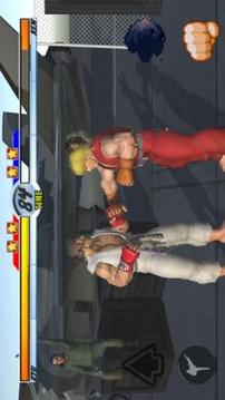 Street Fighter 3D游戏截图3
