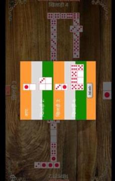 domino india भारत游戏截图3