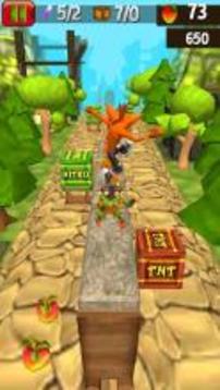 Temple Crash Jungle Run Bandicot游戲截圖4