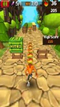 Temple Crash Jungle Run Bandicot游戲截圖2