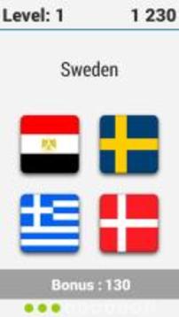 9 Flags - World Geo Quiz游戲截圖2