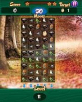 Save The Birds : The Quest游戲截圖4