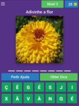 Quiz de flores游戲截圖3