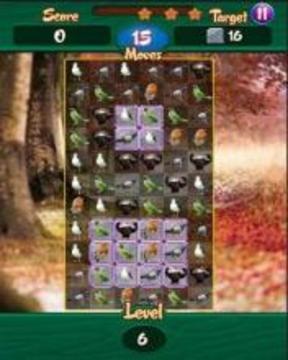 Save The Birds : The Quest游戲截圖5