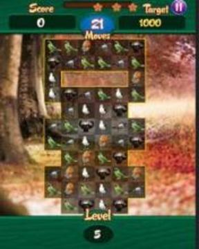 Save The Birds : The Quest游戲截圖2