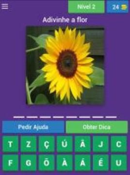 Quiz de flores游戲截圖4