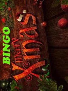 Xmas Bingo Juego Mania游戲截圖1