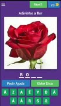 Quiz de flores游戲截圖1