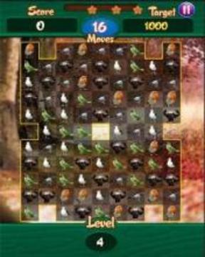 Save The Birds : The Quest游戲截圖1